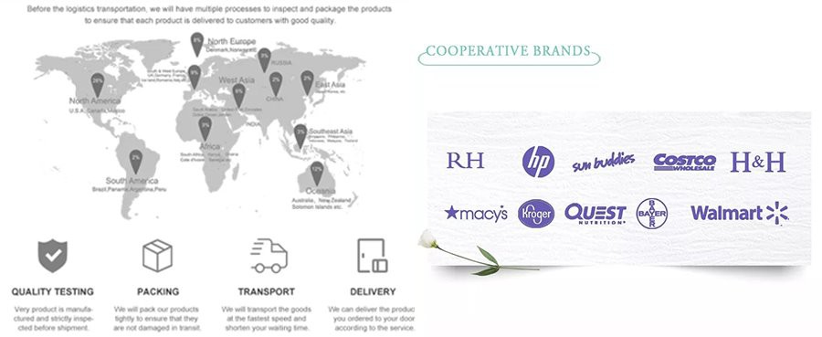 Our partner